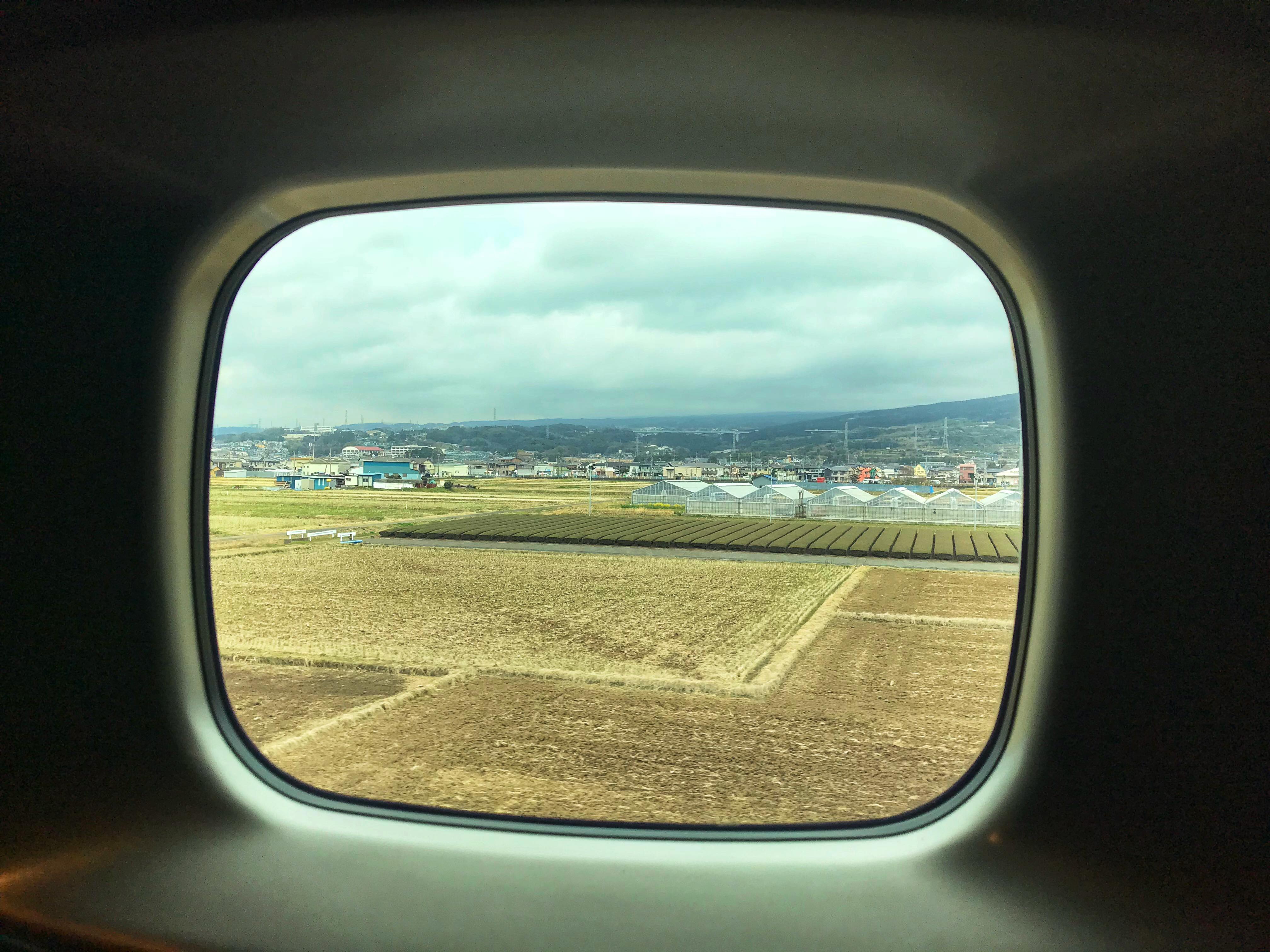 MC Minh Tuan (4).jpg